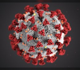 Coronavirus
