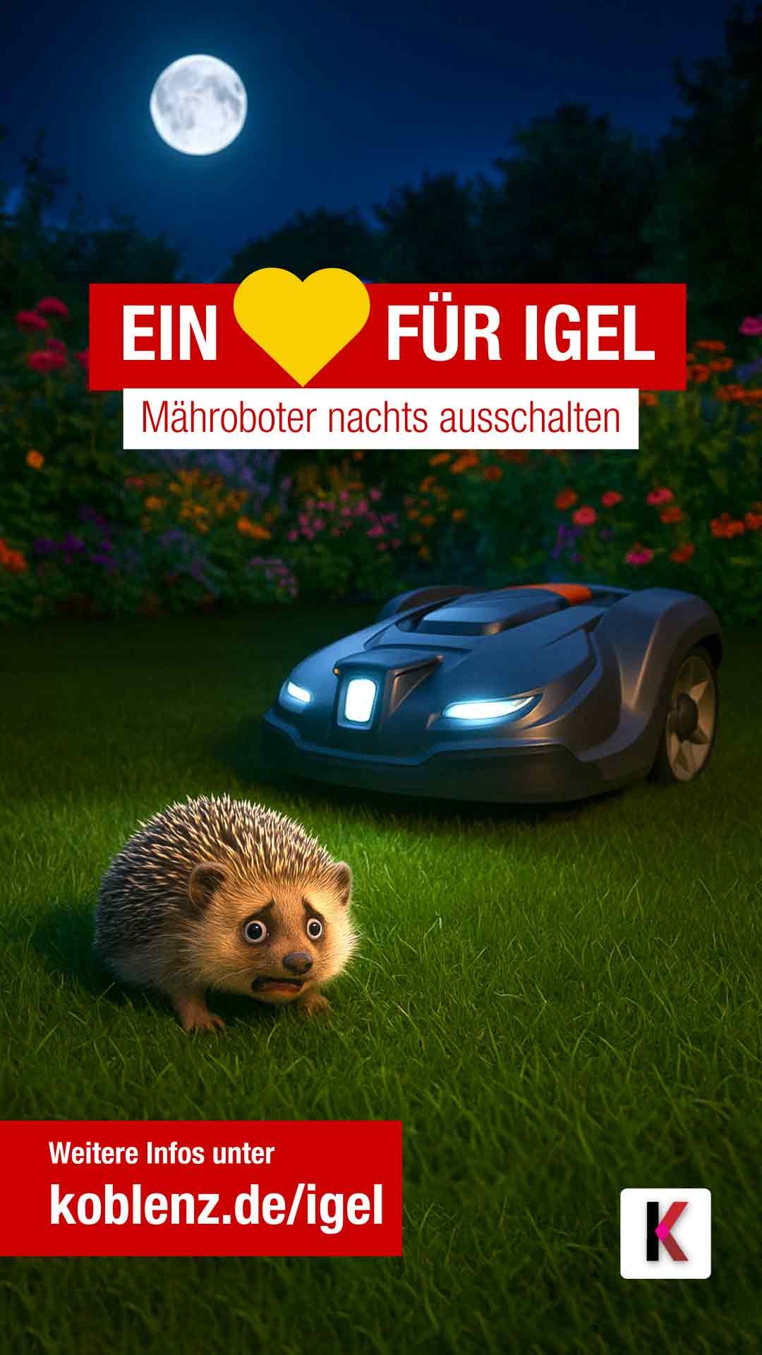 Ein Herz für Igel - Mähroboter nachts ausschalten - koblenz.de/igel - zu sehen im Comicstil ein Igel, dahinter ein Mähroboter