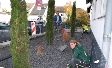 Schottergarten Schottergarten