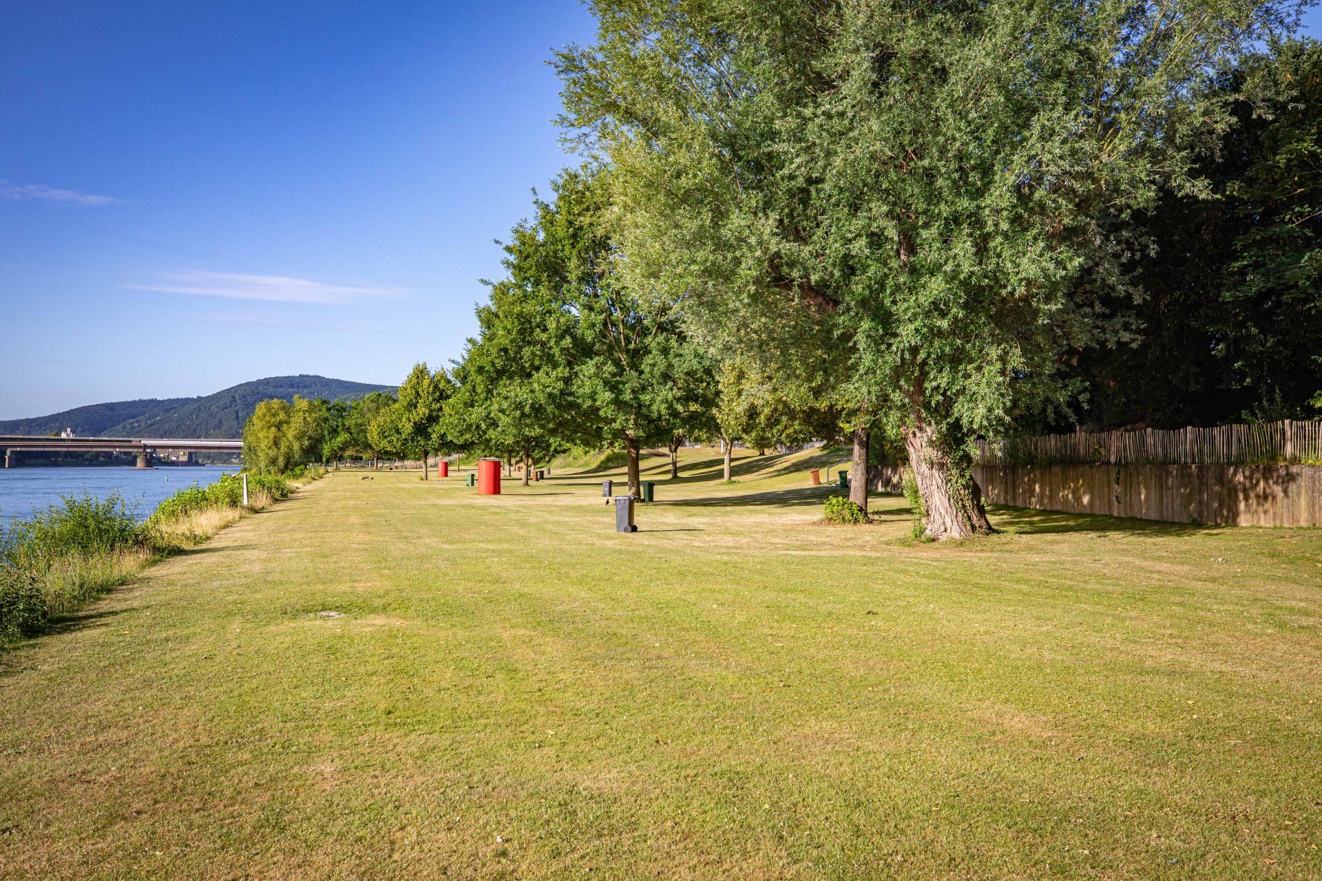 Das Freibad Oberwerth am 24. Juni 2025.