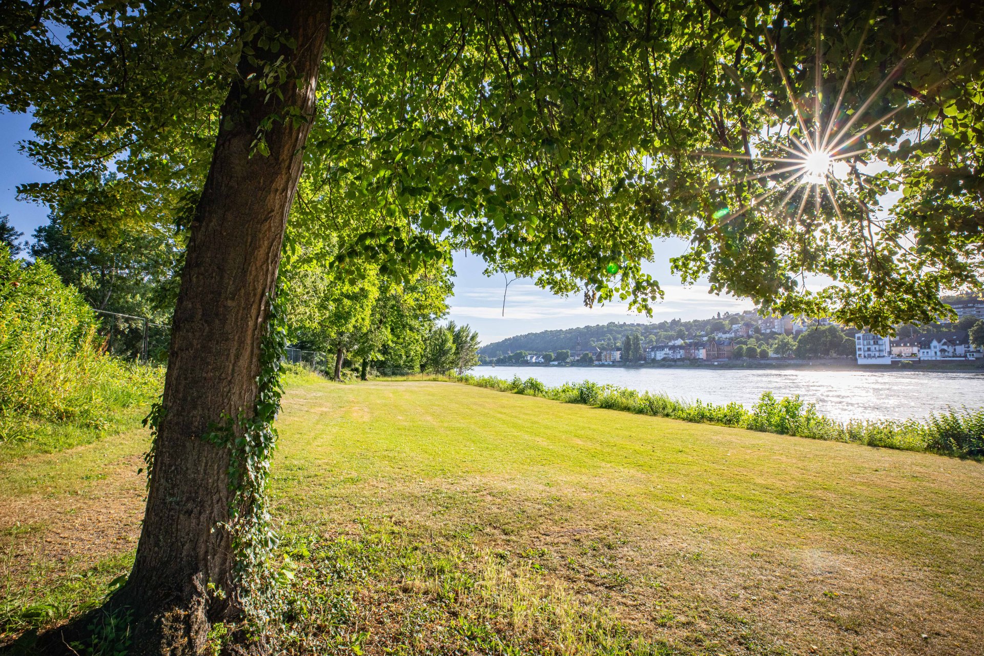 Das Freibad Oberwerth am 24. Juni 2025.