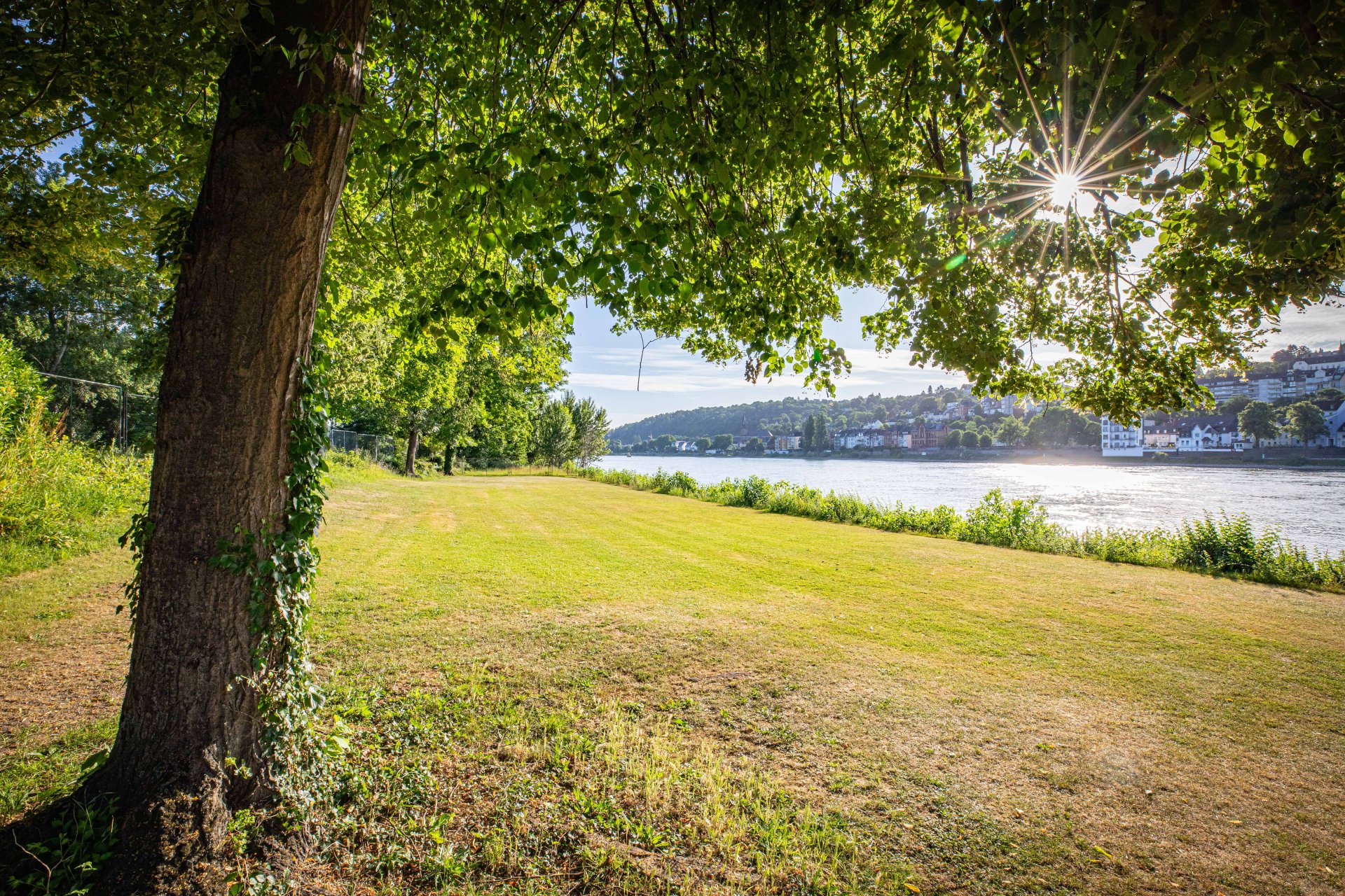 Das Freibad Oberwerth am 24. Juni 2025.
