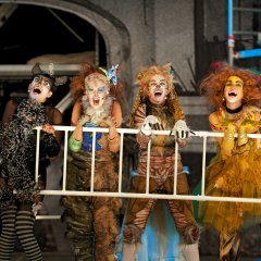 Cats  – Theater Koblenz