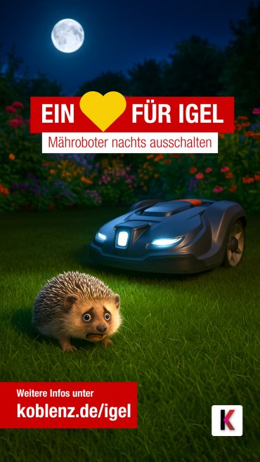 Mähroboter Mähroboter und Igel begegnen sich nachts