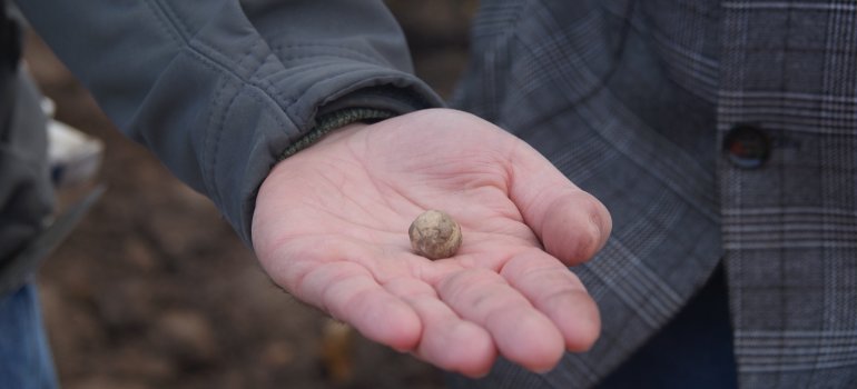 Eine in Arenberg gefundene französische Musketenkugel Eine in Arenberg gefundene französische Musketenkugel