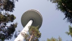 Aus dem Wald nach oben fotografierter Sendeturm am Kühkopf 