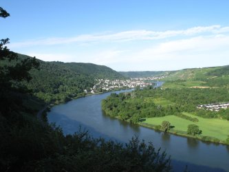 Gülser Moselbogen