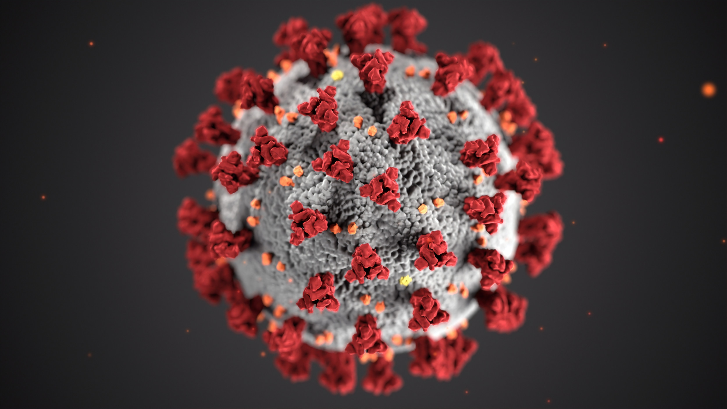 Bild eines vergrößerten Coronavirus