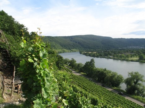 mosel14060504.JPG