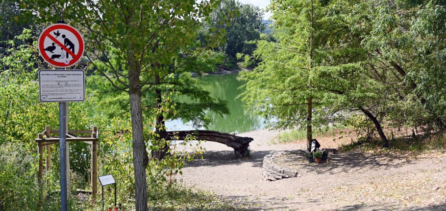 Ein grünlich gefärbtes Gewässer liegt inmitten eines Parks. Ein grünlich gefärbtes Gewässer liegt inmitten eines Parks.