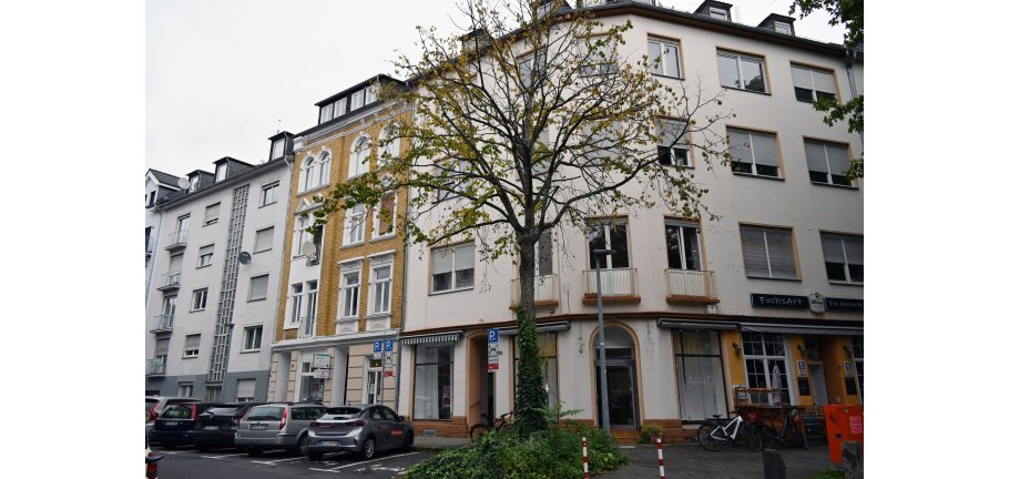 Ein Baum an einer Hausecke stehend mit wenig Laub.