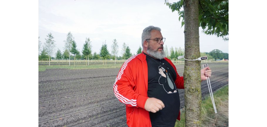 Ein Mann markiert einen Baum mit einem Kunststoffband.