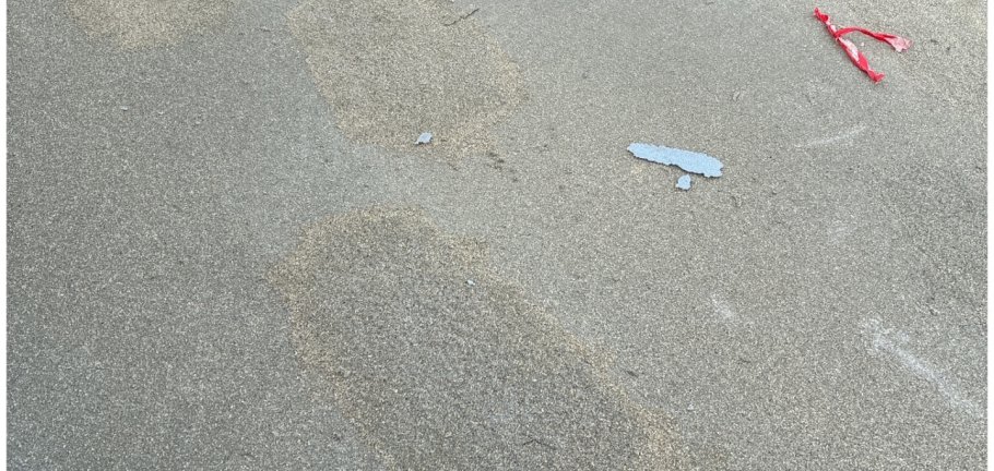 Zufußgehende sind mehrfach durch den abgesperrten Bereich während der Trocknungsphase des Belages gelaufen, weshalb Schäden entstanden sind. Zufußgehende sind mehrfach durch den abgesperrten Bereich während der Trocknungsphase des Belages gelaufen, weshalb Schäden entstanden sind.