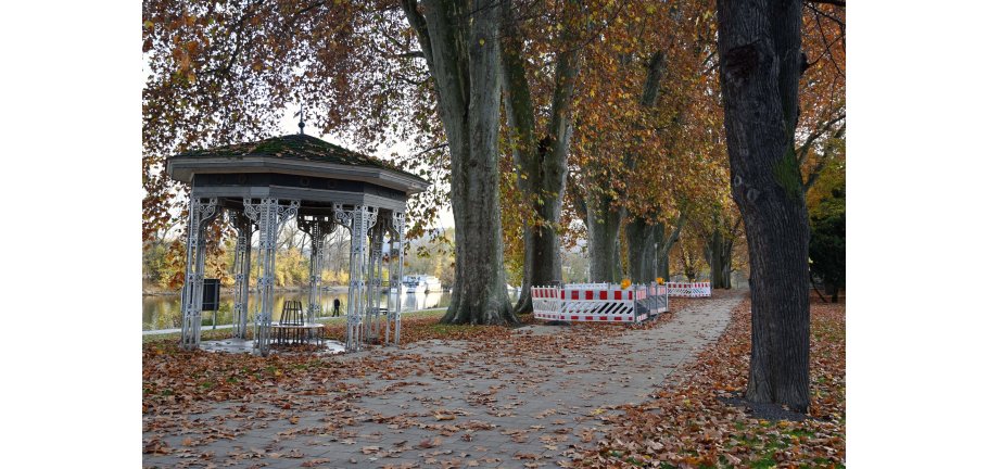 In einer Allee sind vor 2 Bäumen Schutzgitter zur Absperrung von Baustellen aufgestellt.