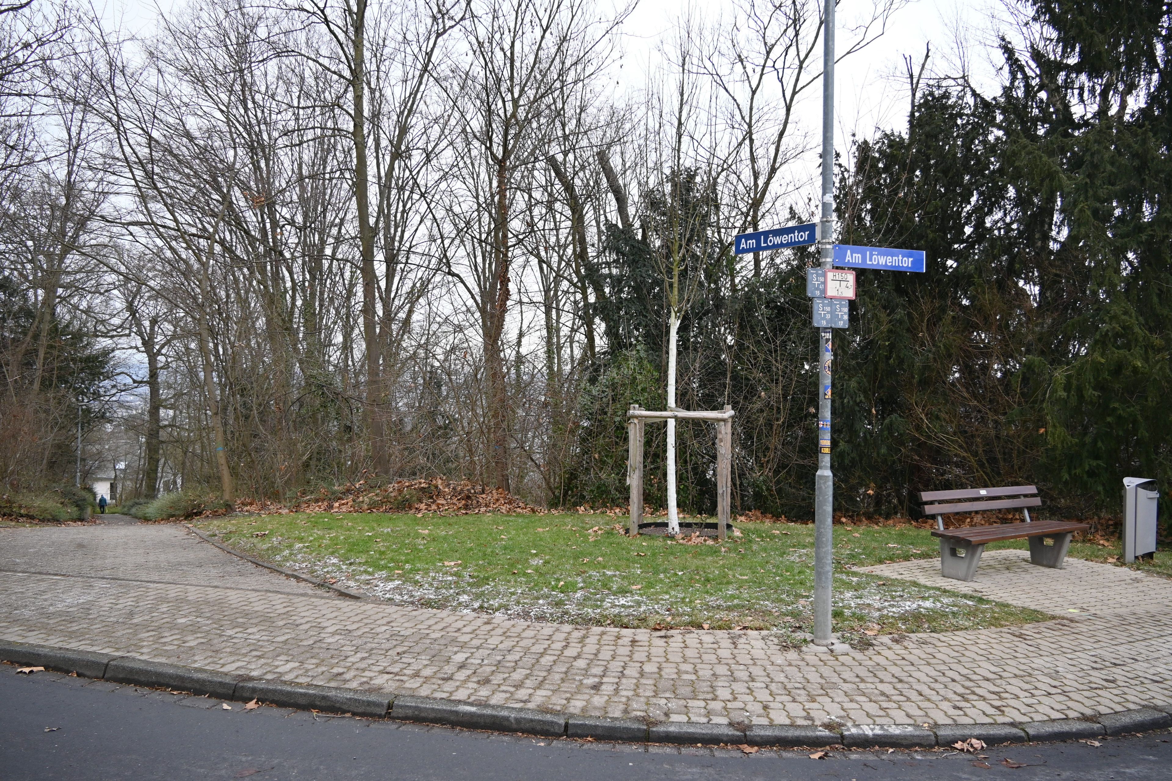 Eine kleine Grünfläche.