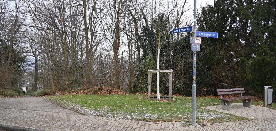 Eine kleine Grünfläche.