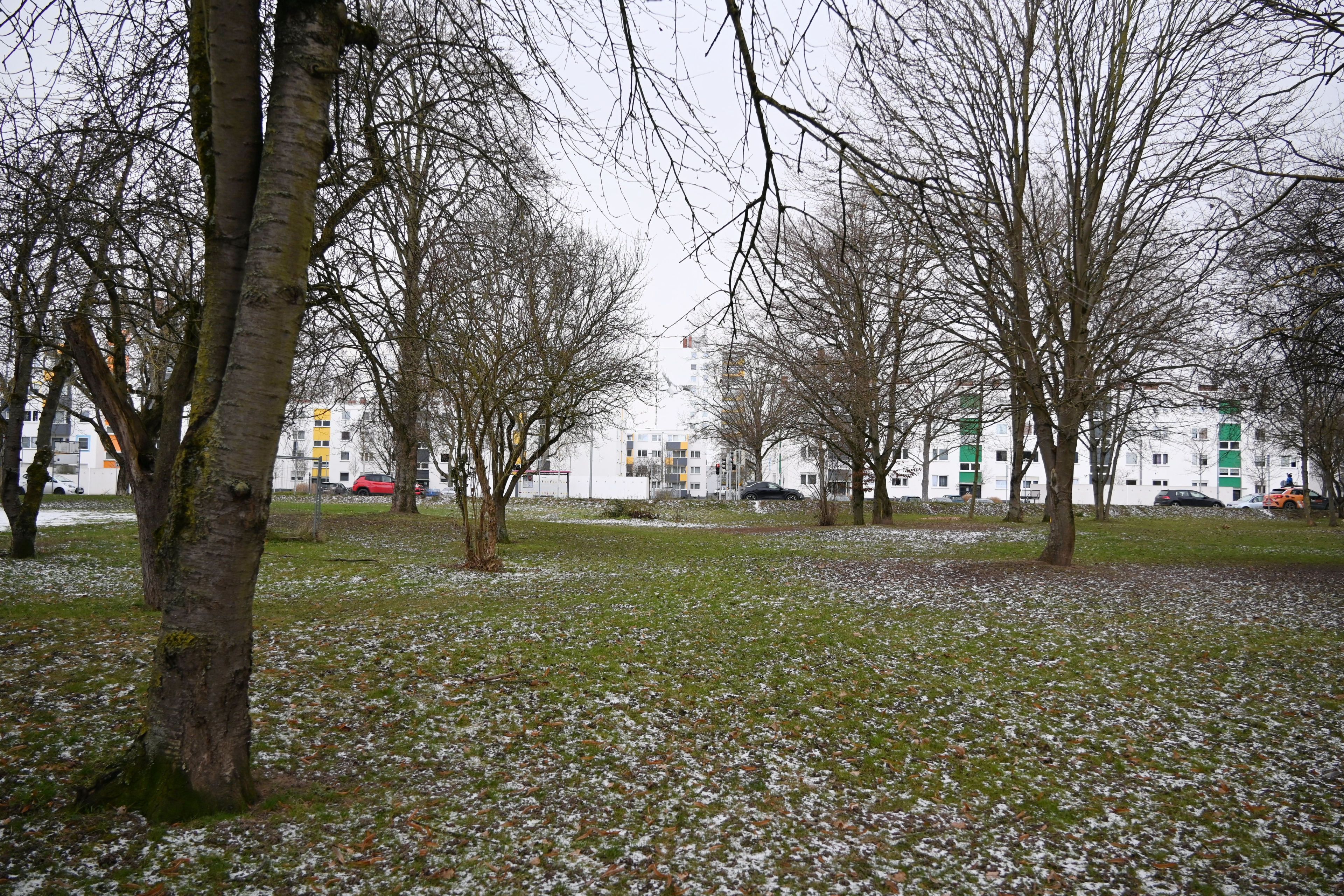 Eine Grünfläche mit Gehölzen. Im Hintergrund eine Siedlung.
