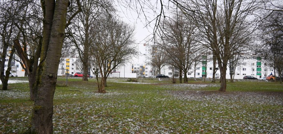 Eine Grünfläche mit Gehölzen. Im Hintergrund eine Siedlung.