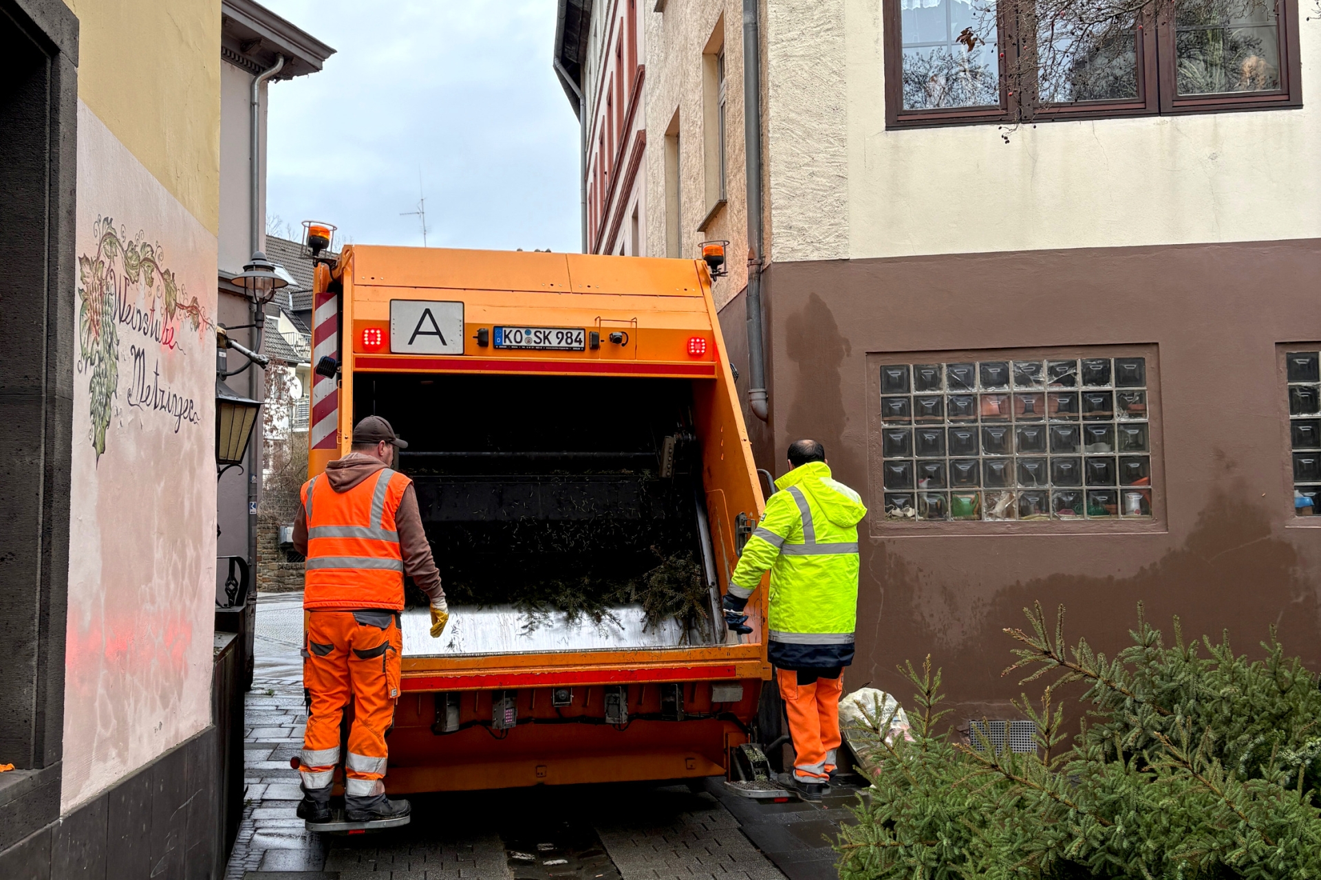 Mitarbeitende des Kommunalen Servicebetriebs sammeln jedes Jahr in den Monaten Januar und Februar rund 25.000 Weihnachtsbäume im Koblenzer Stadtgebiet ein.