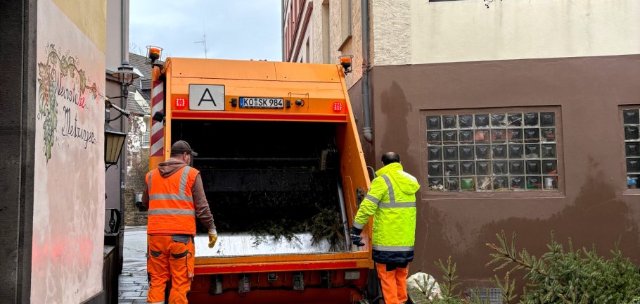 Mitarbeitende des Kommunalen Servicebetriebs sammeln jedes Jahr in den Monaten Januar und Februar rund 25.000 Weihnachtsbäume im Koblenzer Stadtgebiet ein.
