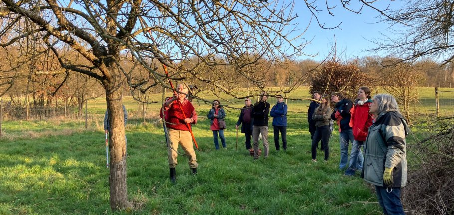 Teilnehmende lernen verschiedene Schnittechniken an Obstbäumen