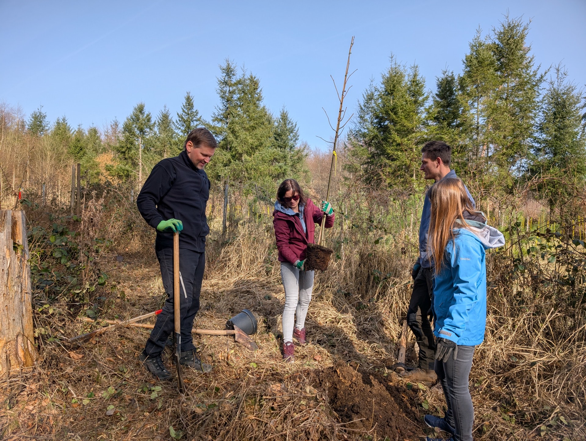 Im Rahmen der Aktion wurde eine Baumallee gepflanzt.