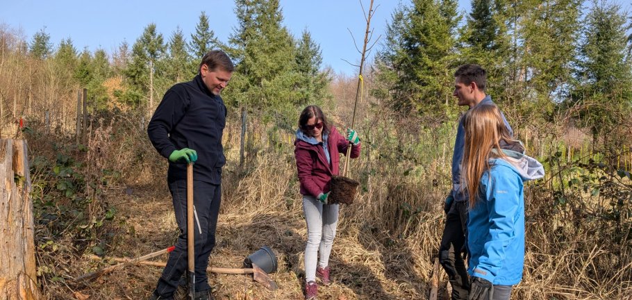 Im Rahmen der Aktion wurde eine Baumallee gepflanzt. Im Rahmen der Aktion wurde eine Baumallee gepflanzt.