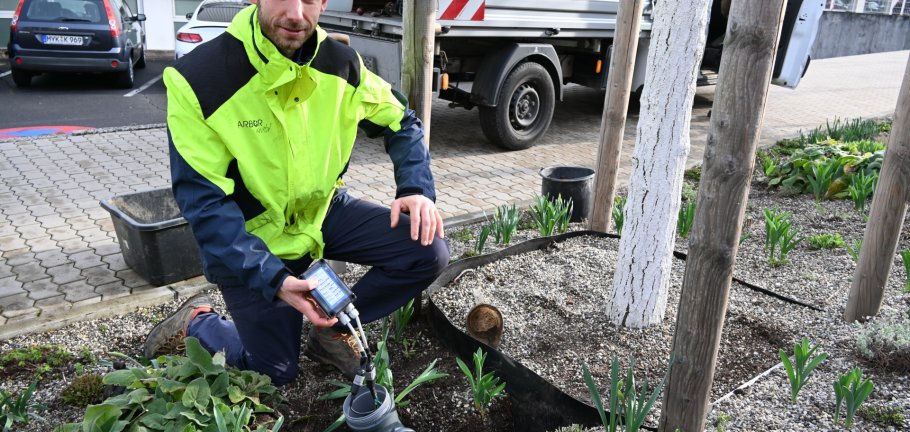 Robin Neuendorf von Arbor revital installiert eine Funkeinheit, die Daten von im Boden verbauten Feuchtesensoren übermittelt Robin Neuendorf von Arbor revital installiert eine Funkeinheit, die Daten von im Boden verbauten Feuchtesensoren übermittelt