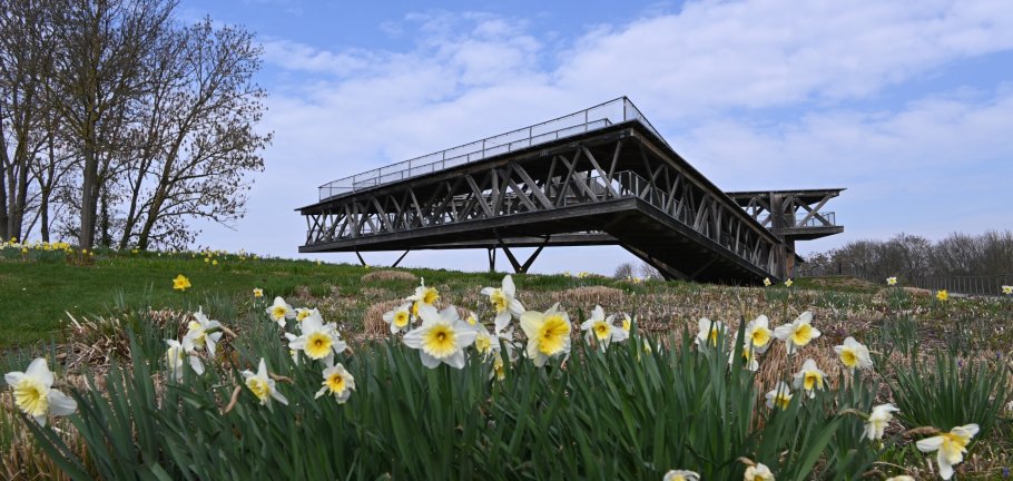 Die Aussichtsplattform Ehrenbreitstein wird derzeit statisch überprüft. Bis alle Mängel beseitigt sind, bleibt das Holzbauwerk geschlossen.