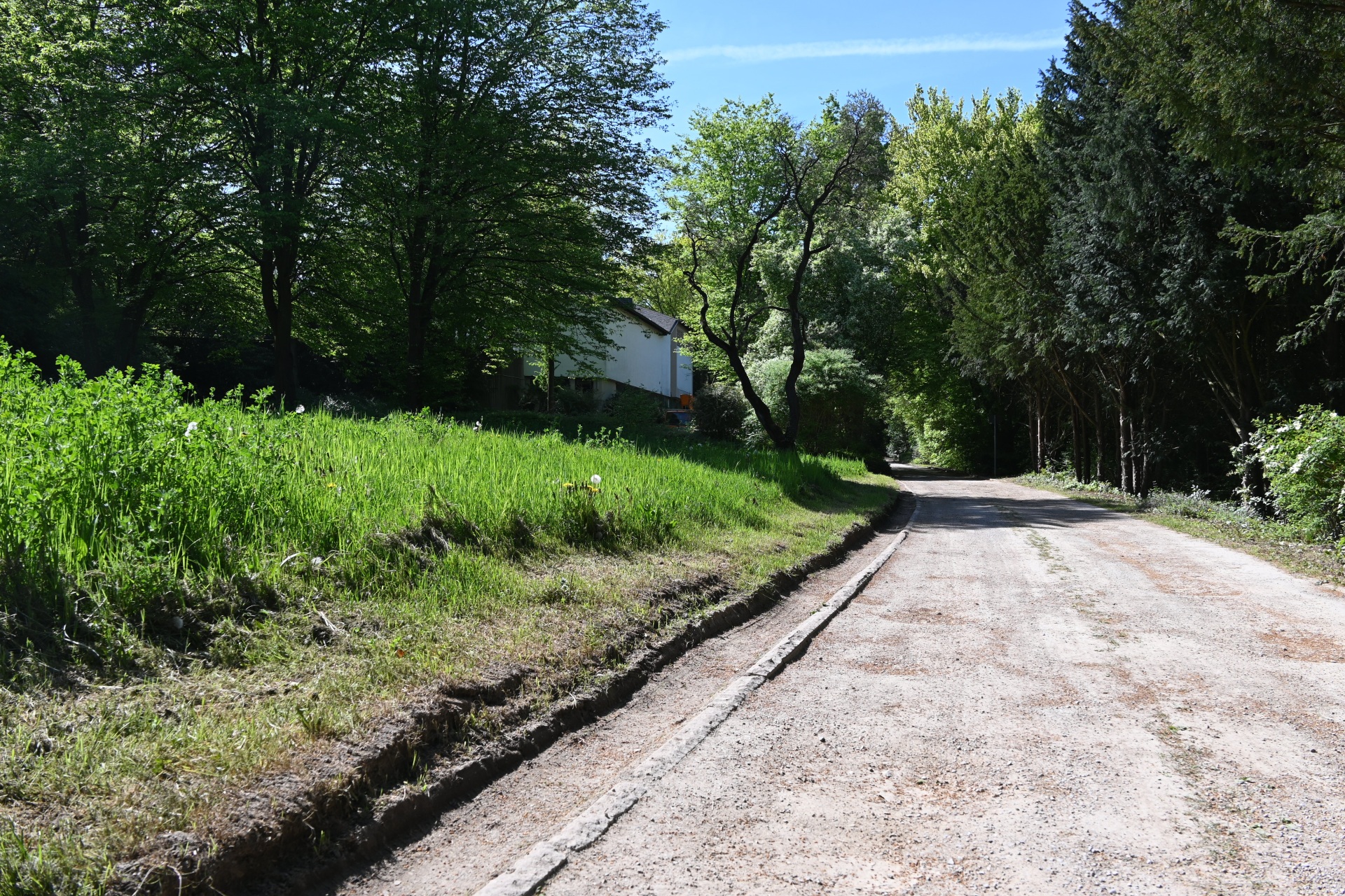 Ein Weg führt entlang eines Rasens.