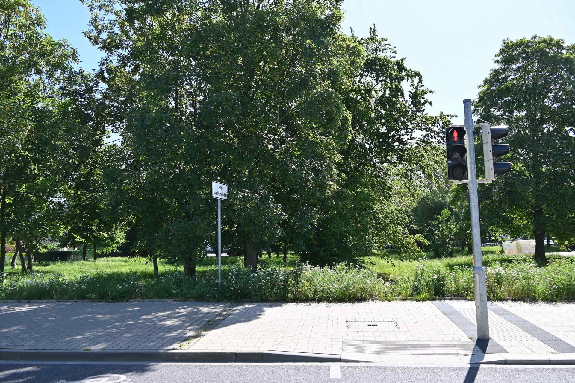 Auf dieser Fläche am Parkplatz des Friedhofs soll der erste Bauabschnitt des neuen Grünzugs vom Wallersheimer Weg bis zum Rhein entstehen. Beim Infospaziergang am 19. Juni werden die Planungen vorgestellt.