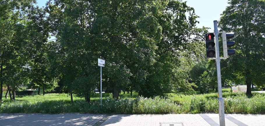 Auf dieser Fläche am Parkplatz des Friedhofs soll der erste Bauabschnitt des neuen Grünzugs vom Wallersheimer Weg bis zum Rhein entstehen. Beim Infospaziergang am 19. Juni werden die Planungen vorgestellt.