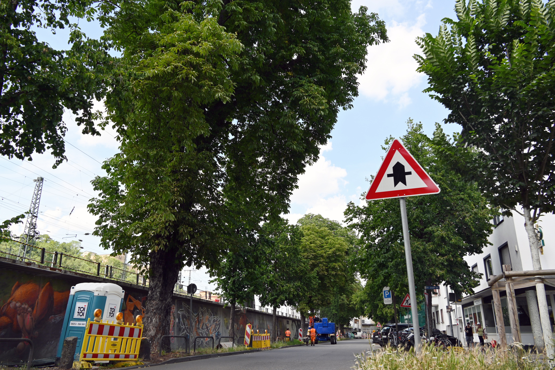 Grüne Bäume stehen an einer Straße.