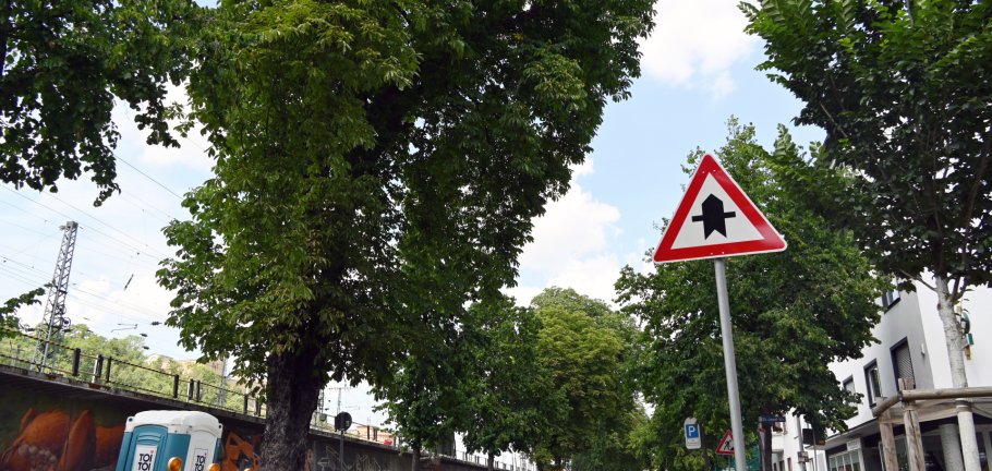 Grüne Bäume stehen an einer Straße.
