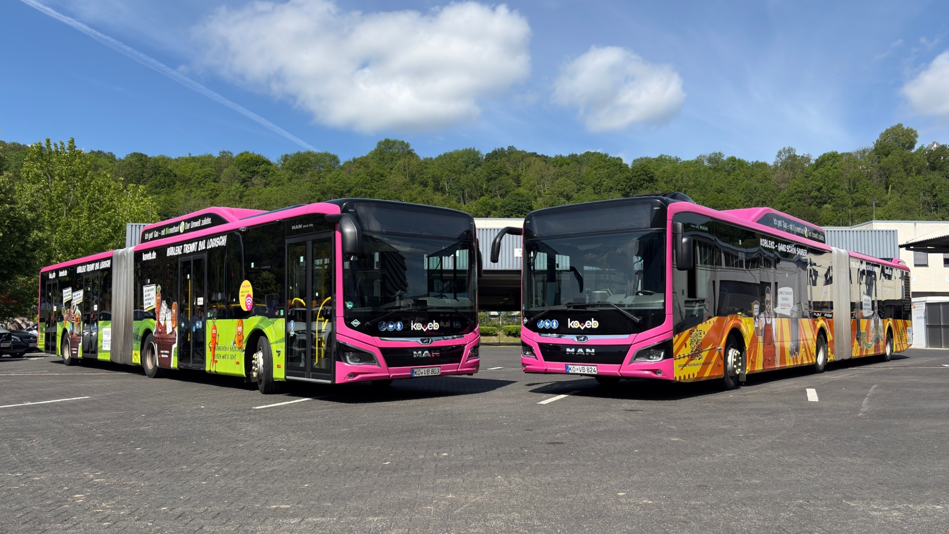 Zwei Busse mit bunter Beklebung stehen nebeneinander.