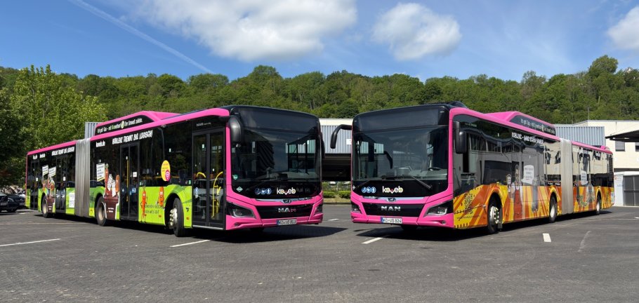 Zwei Busse mit bunter Beklebung stehen nebeneinander. Zwei Busse mit bunter Beklebung stehen nebeneinander.