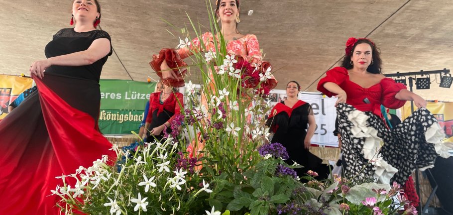 Frauen tanzen Flamenco auf einer Bühne.