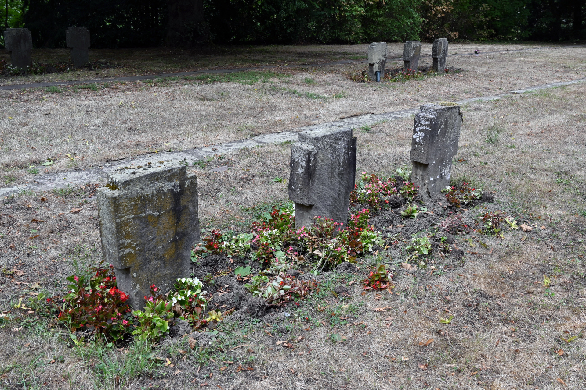 Historische Grabsteine stehen auf einem Friedhof.