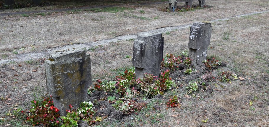 Historische Grabsteine stehen auf einem Friedhof.