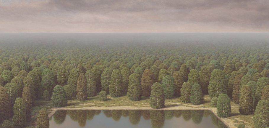 Ein See liegt an einem Waldrand. Ein See liegt an einem Waldrand.