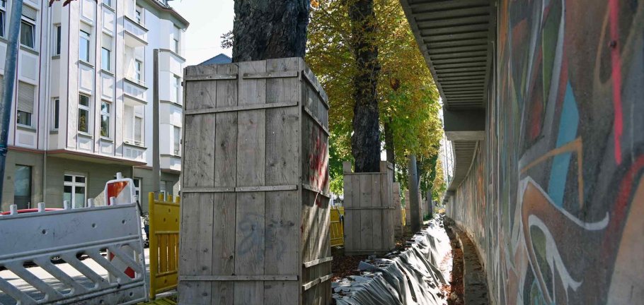 Die vorderen beiden Bäume müssen gefällt werden, da das neue Fundament für die Lärmschutzwand bis an den Stamm der Rosskastanien heranreichen würden. Die vorderen beiden Bäume müssen gefällt werden, da das neue Fundament für die Lärmschutzwand bis an den Stamm der Rosskastanien heranreichen würden.