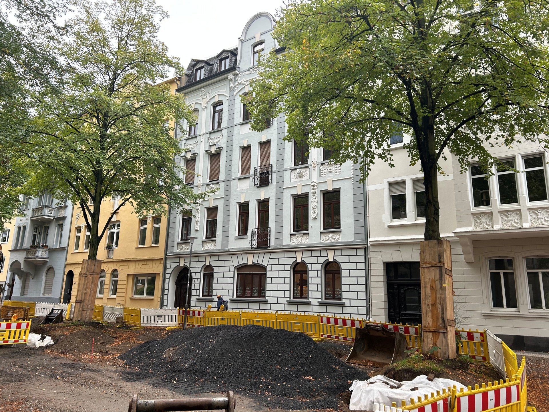 Zwei Bäume stehen inmitten einer Baustelle vor einem historischen Haus.
