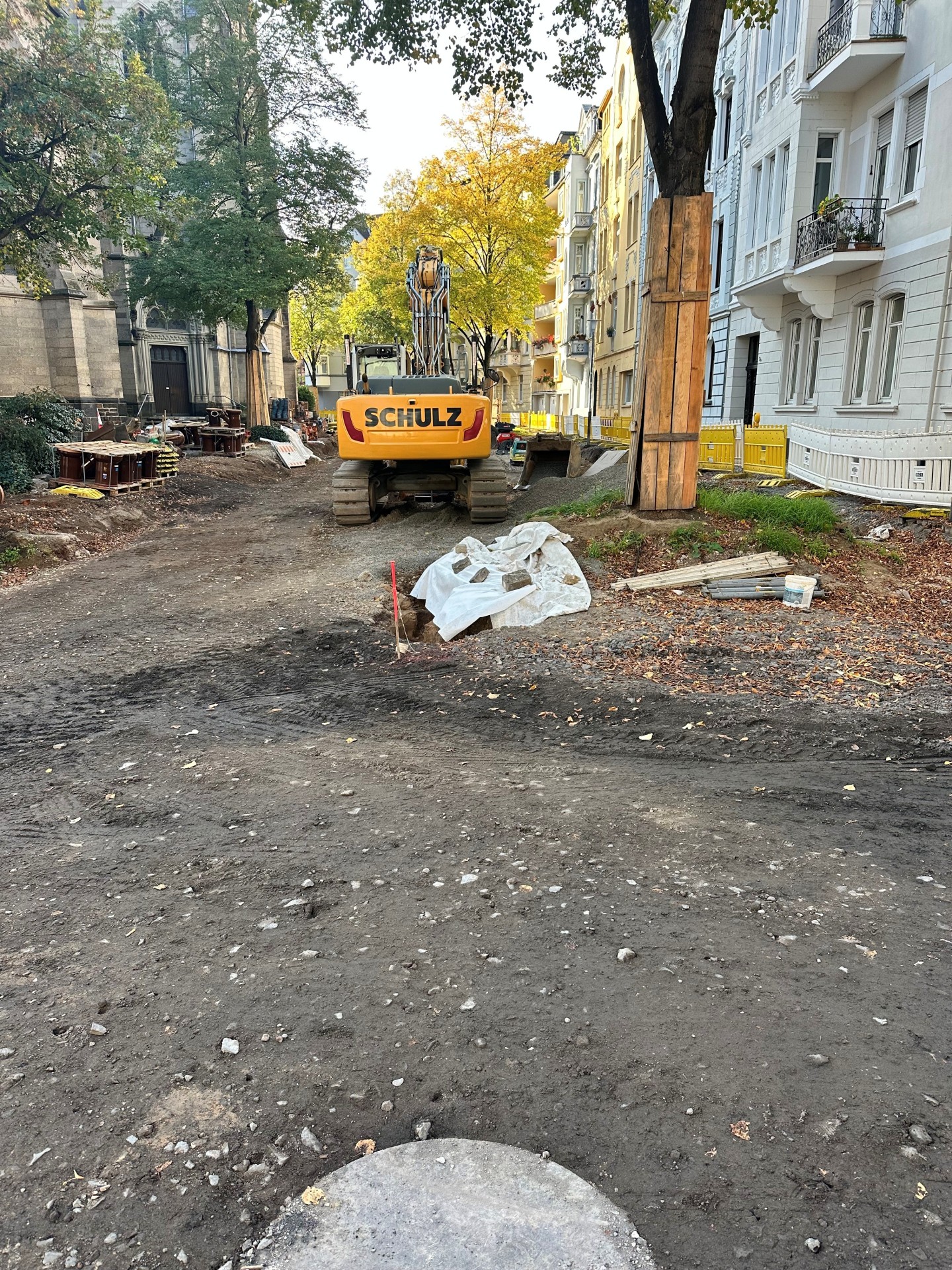 Ein Bagger steht auf einer Straßenbaustelle an einem Baum.