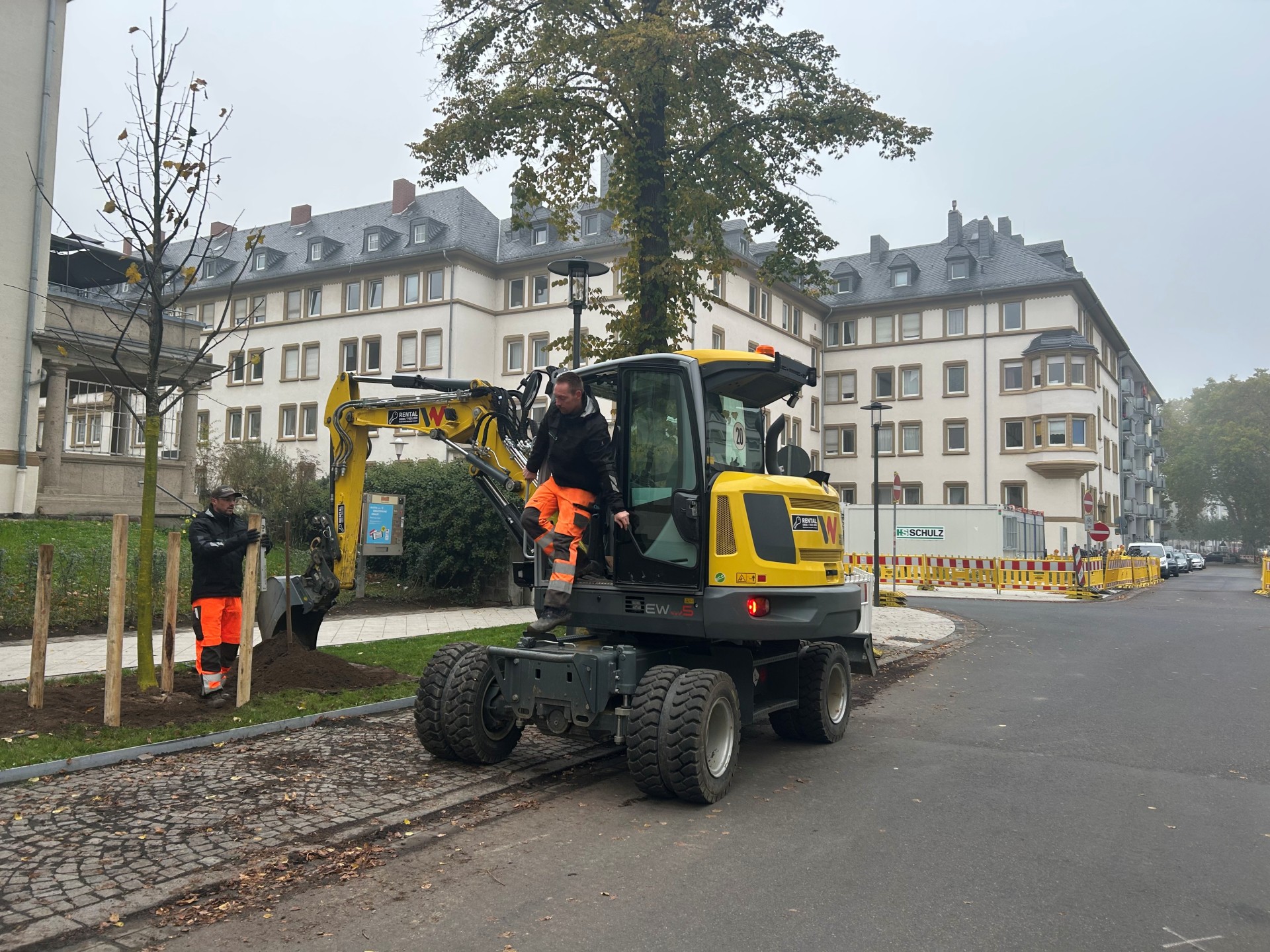 Bauarbeiter pflanzen mit einer Baumaschine einen Baum.