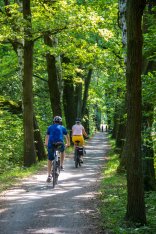 Radfahrer im Wald Leute die auf einem Waldweg Radfahren