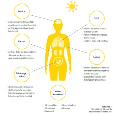 Auswirkungen von Hitze aus die Gesundheit Auswirkungen von Hitze aus die Gesundheit