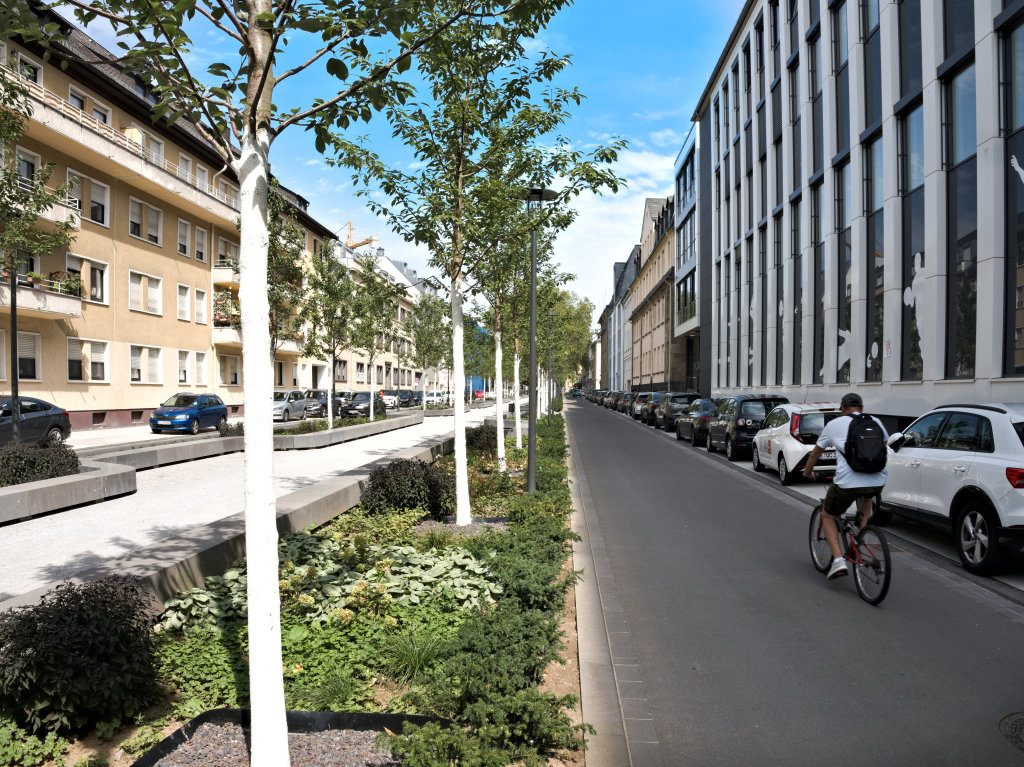 Die Südallee ist eine bedeutende Grünachse sowie eine wichtige Verbindung für den Fuß- und Radverkehr zwischen der südlichen Vorstadt und dem Stadtzentrum. Derzeit wird sie neu gestaltet. Mehrere Bauabschnitte, wie der zwischen Markenbildchenweg und Friedrich-Ebert-Ring, sind bereits weitestgehend fertiggestellt.