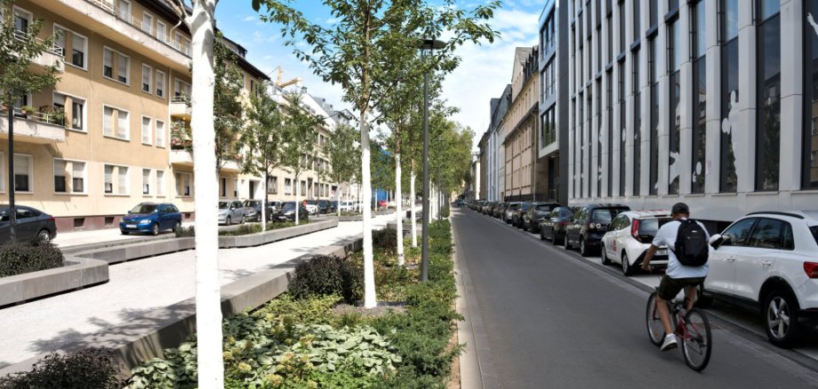 Die Südallee ist eine bedeutende Grünachse sowie eine wichtige Verbindung für den Fuß- und Radverkehr zwischen der südlichen Vorstadt und dem Stadtzentrum. Derzeit wird sie neu gestaltet. Mehrere Bauabschnitte, wie der zwischen Markenbildchenweg und Friedrich-Ebert-Ring, sind bereits weitestgehend fertiggestellt. Die Südallee ist eine bedeutende Grünachse sowie eine wichtige Verbindung für den Fuß- und Radverkehr zwischen der südlichen Vorstadt und dem Stadtzentrum. Derzeit wird sie neu gestaltet. Mehrere Bauabschnitte, wie der zwischen Markenbildchenweg und Friedrich-Ebert-Ring, sind bereits weitestgehend fertiggestellt.